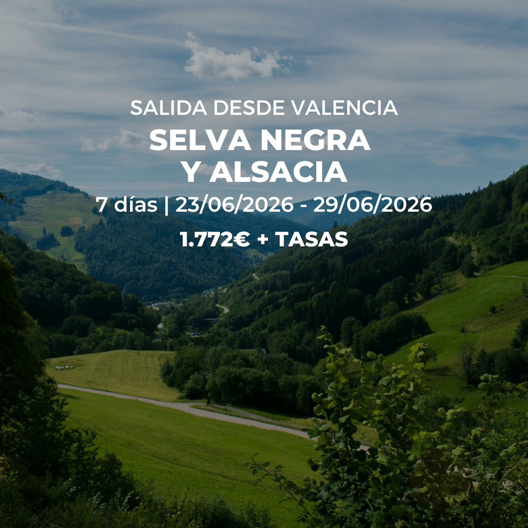 Solicita más información