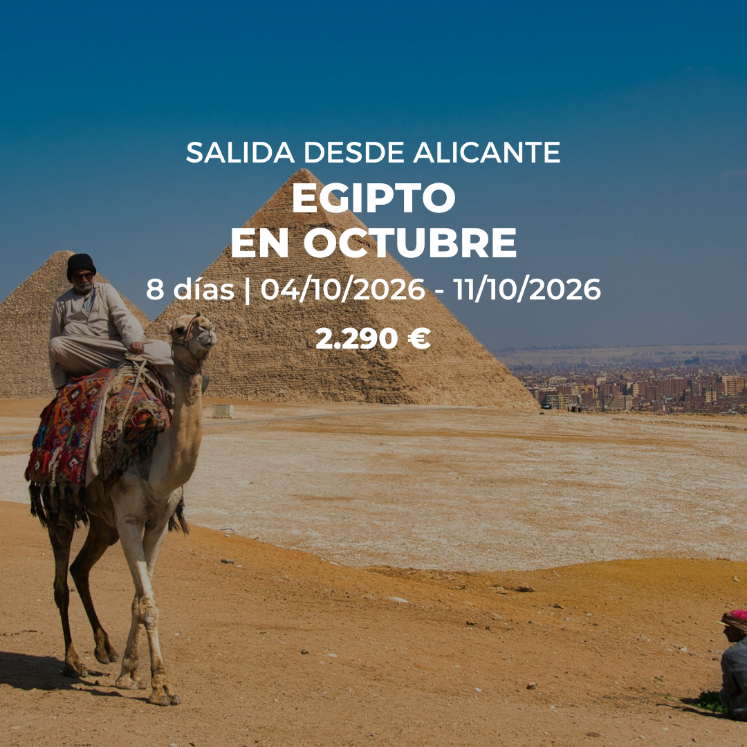 Solicita más información